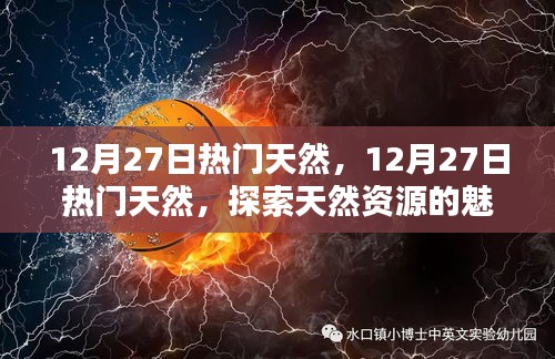 探索天然资源的魅力与价值，热门天然资源一览（12月27日）