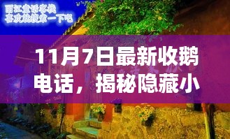 探秘小巷神秘小店，最新收鹅电话的奇遇之旅