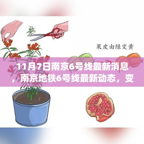 南京地铁6号线最新动态，变化中的学习之旅，自信与成就感的源泉