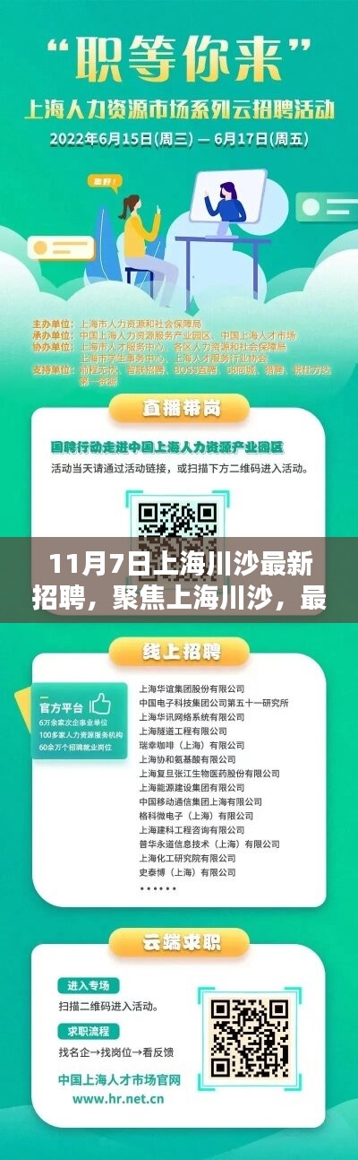 上海川沙最新招聘动态解析（11月7日版）聚焦招聘信息