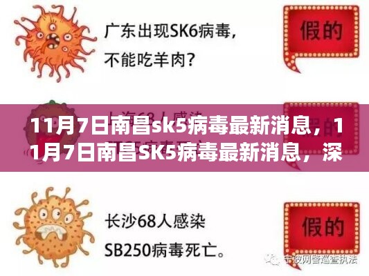 南昌SK5病毒最新动态，深度解析与最新进展（11月7日更新）