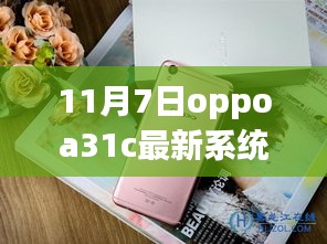 OPPO A31C最新系统更新指南，从初学者到进阶用户的全面更新解析（11月7日）