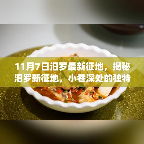 揭秘汨罗最新征地，小巷深处的独特风味与味蕾的双重盛宴