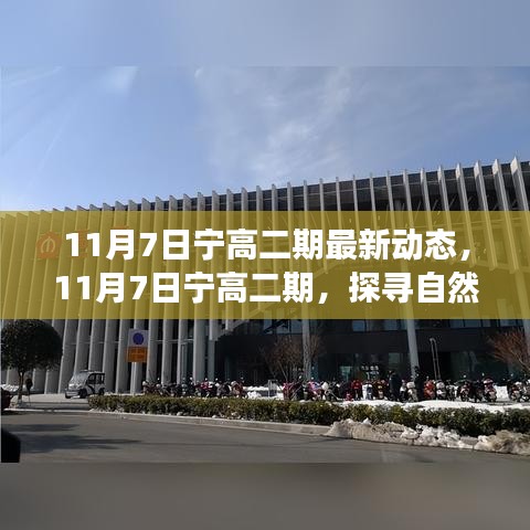 探寻自然美景之旅，宁高二期最新动态启程心灵宁静之旅！