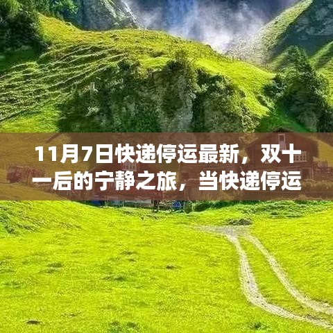 双十一后的宁静之旅，快递停运，与大自然的约会开启