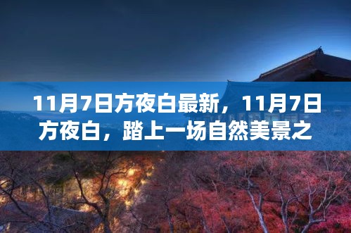 11月7日方夜白踏自然之旅，心灵宁静与欢笑的追寻