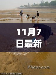 11月7日，追寻鱼趣时刻，与自然共舞的心灵之旅