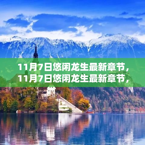 11月7日悠闲龙生最新章节，深度测评与详细介绍