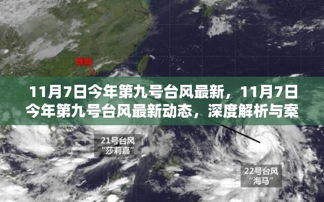 深度解析与案例分析，今年第九号台风最新动态及影响分析（11月7日更新）