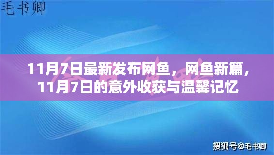 网鱼新篇，意外收获与温馨记忆的交织时刻（11月7日最新发布）