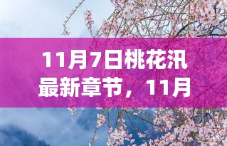 关于我们 第229页