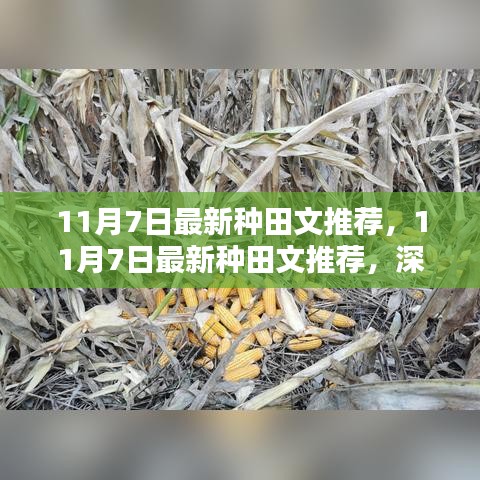 11月7日最新种田文推荐及深度解析，利弊与个人观点