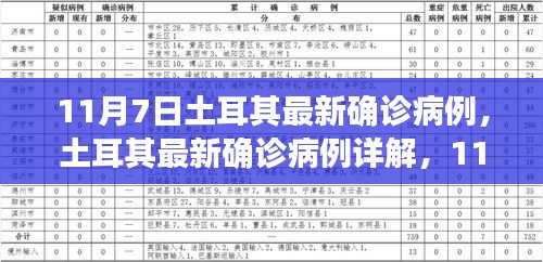 土耳其最新确诊病例详解及初学者与进阶用户防护指南（11月7日更新）