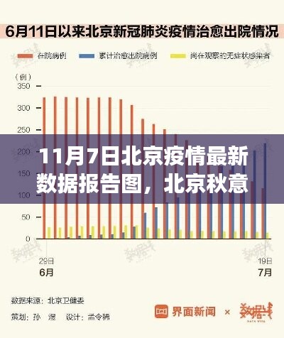 北京秋意浓时，疫情下的温情日常，最新数据报告图揭示的11月7日数字故事