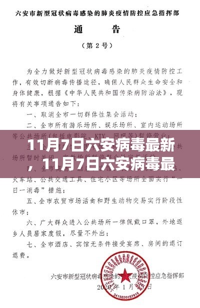 11月7日六安病毒最新动态，深度解析及应对策略