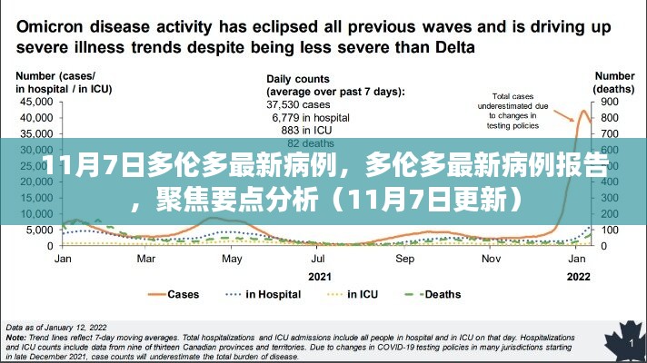 多伦多最新病例报告聚焦分析（11月7日更新）