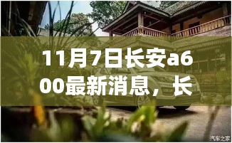 长安A600十一月惊喜与日常，最新消息揭秘！