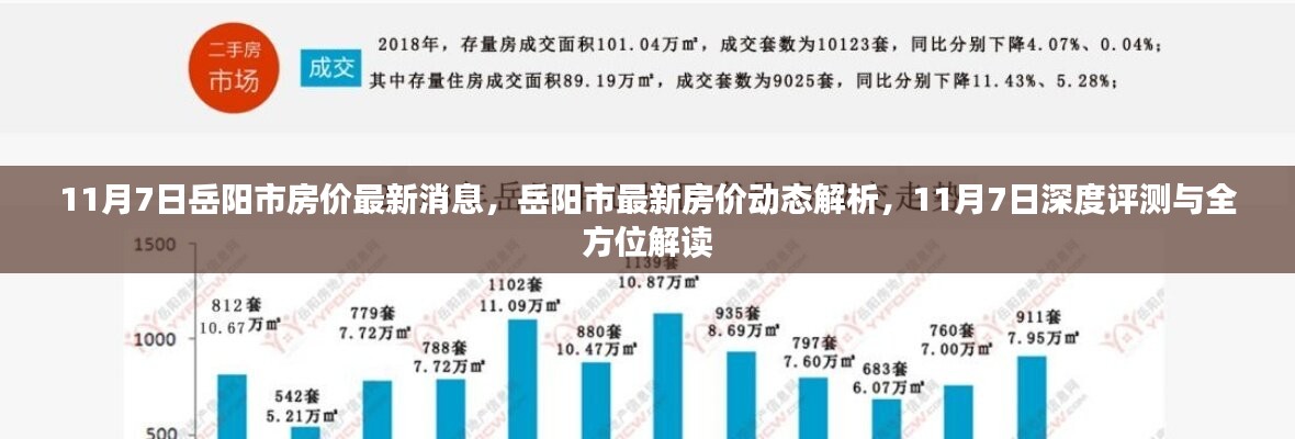 岳阳市最新房价动态解析及深度评测报告（11月7日）