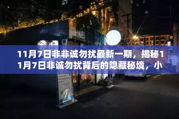 揭秘非诚勿扰隐藏秘境，特色小店背后的故事（最新一期11月7日）