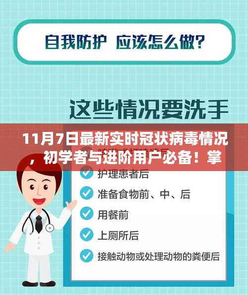 最新实时冠状病毒情况指南，11月7日更新，适合初学者与进阶用户的全面指南