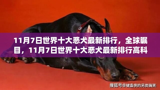 全球瞩目！世界十大恶犬最新排行及高科技犬类装备重磅发布