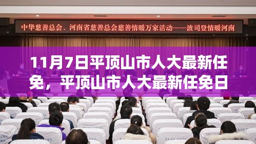 平顶山市人大最新任免，人大日常中的友情与温馨故事