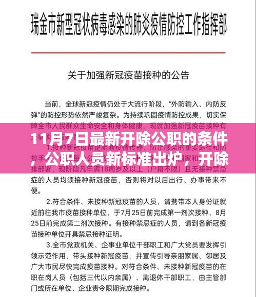 公职开除新标准出炉，深度解读开除公职人员的条件与要求（最新更新）