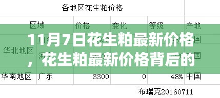 11月7日花生粕最新价格揭秘，背后的温馨故事