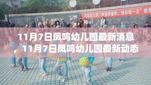 探索成长新篇章，凤鸣幼儿园最新动态与消息（11月7日）