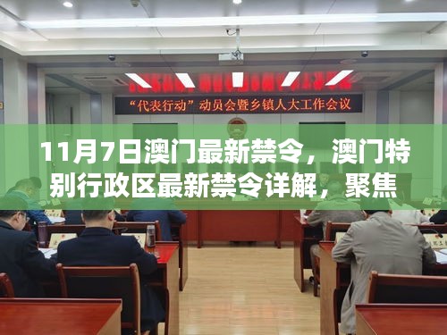 澳门特别行政区最新禁令详解，聚焦要点与影响分析（11月7日版）