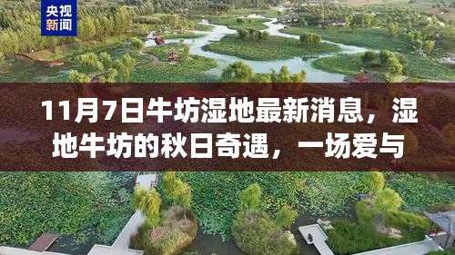 牛坊湿地秋日奇遇，爱与陪伴的温馨故事（最新消息）