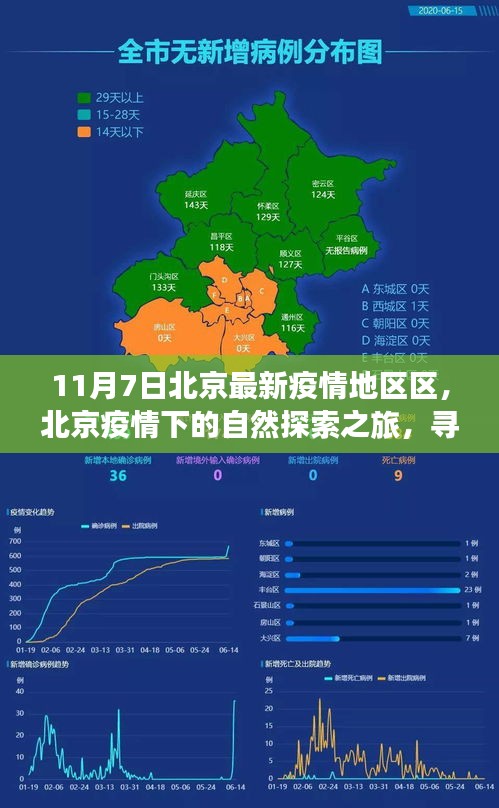 北京疫情下的自然探索之旅，寻找内心的宁静与微笑的力量（最新疫情地区情况报道）