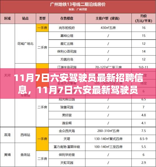 11月7日六安驾驶员招聘最新动态及行业趋势解析