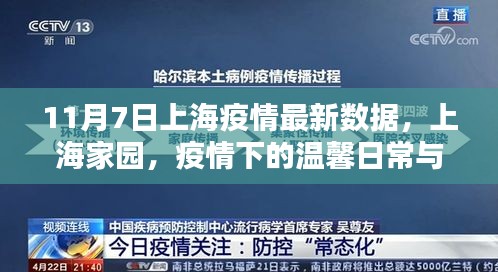 上海家园疫情下的温馨日常与坚固友情，最新疫情数据报告（11月7日）