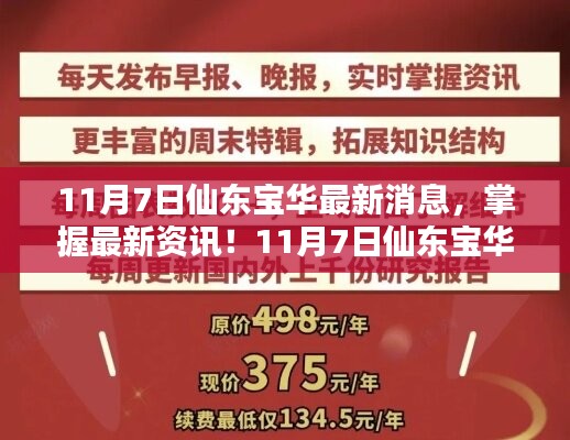 11月7日仙东宝华最新消息与动态详解，掌握最新资讯和任务指南