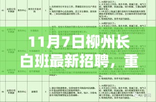 11月7日柳州长白班最新招聘信息揭秘，优质岗位等你来挑战！