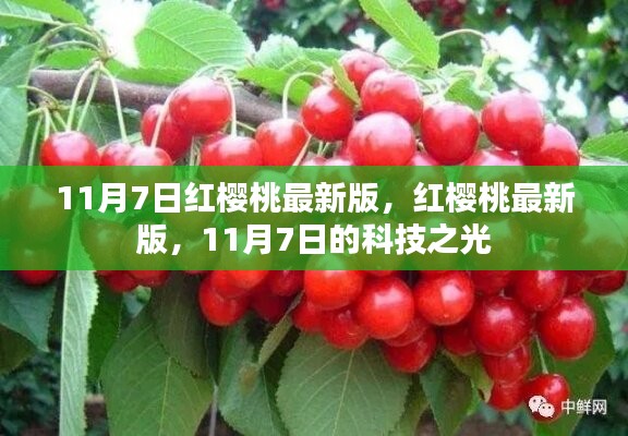 红樱桃最新版，科技之光闪耀11月7日