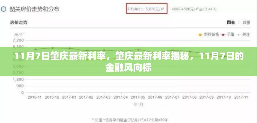 11月7日肇庆最新利率揭秘，金融风向标下的利率动态