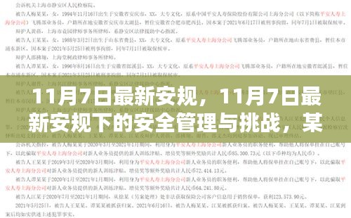 11月7日最新安规下的安全管理与挑战，观点探析