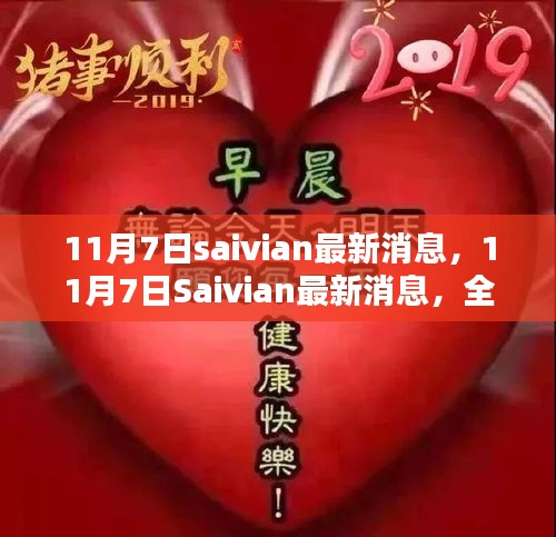 11月7日Saivian最新消息全面评测与介绍