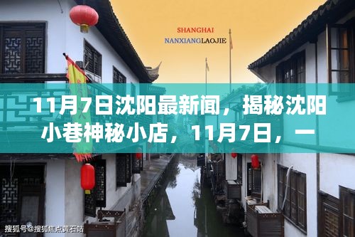 揭秘沈阳小巷神秘小店，味蕾与灵魂的邂逅之旅（11月7日沈阳新闻）