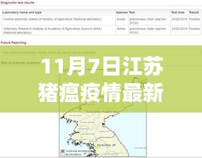 江苏猪瘟疫情最新动态揭秘，11月7日更新（含疫情动态分析）