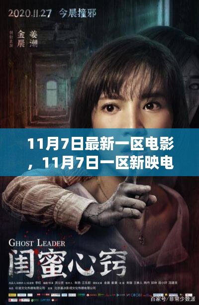 11月7日一区新映电影深度探讨，价值与影响分析