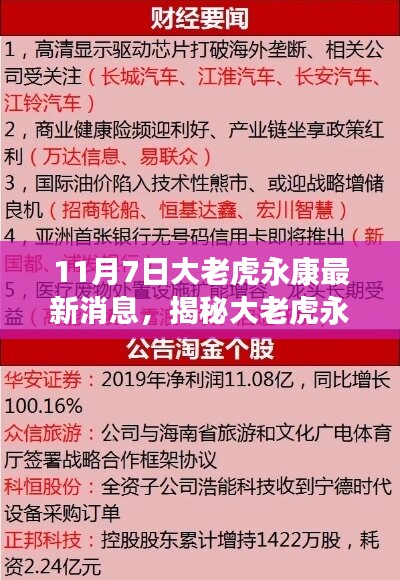 揭秘大老虎永康最新动态，获取与分析信息的详细步骤指南（附最新消息）