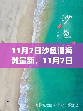 11月7日沙鱼涌海滩全新体验，潮汐、风景与活动一览