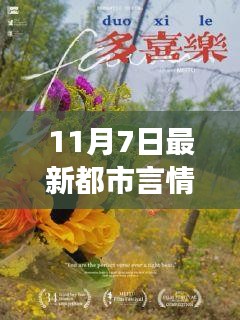 爱在暖阳下的甜蜜日常，都市言情新篇章（11月7日最新）