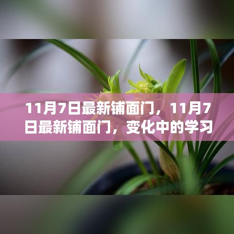 11月7日最新铺面门，变化中的学习与成就感的源泉