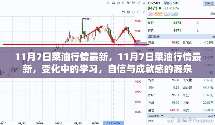 11月7日菜油行情最新动态，变化中的学习，自信与成就感的源泉