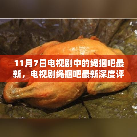 电视剧绳捆吧最新深度评测与介绍，11月7日最新剧集概览