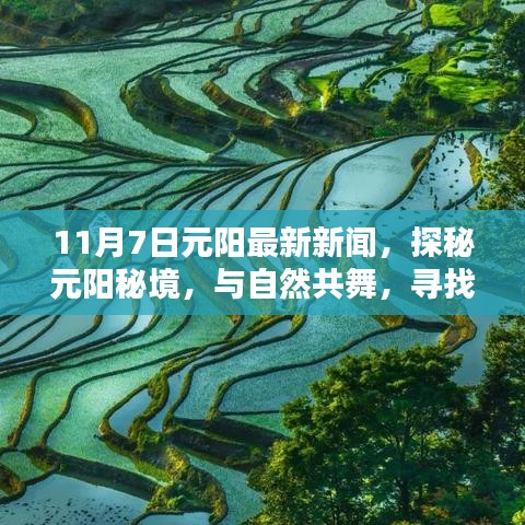 探秘元阳秘境，最新新闻带你与自然共舞，寻找心灵的宁静港湾